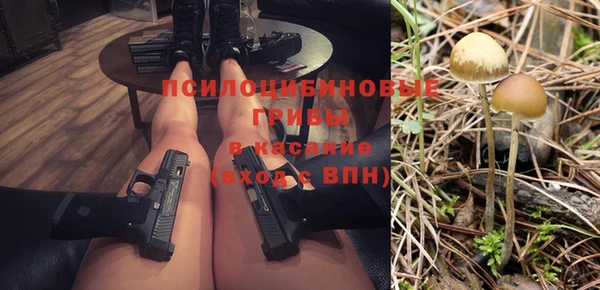 СК Аркадак
