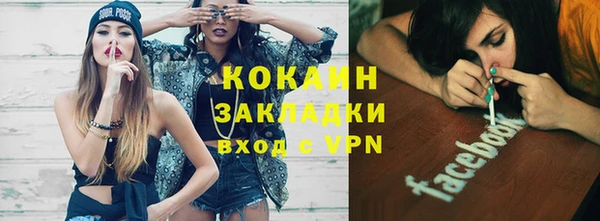 прущая мука Пересвет